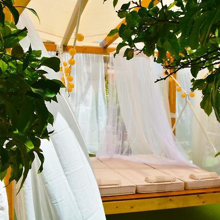 Converted Shed Studio & Garden Hanging Bed Pórto Ráfti Exteriör bild